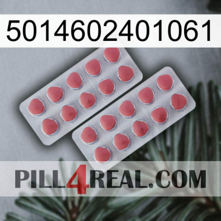 5014602401061 19